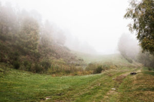 allevamento biologico varese