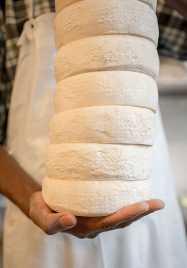 produzione formaggi produzione formaggi